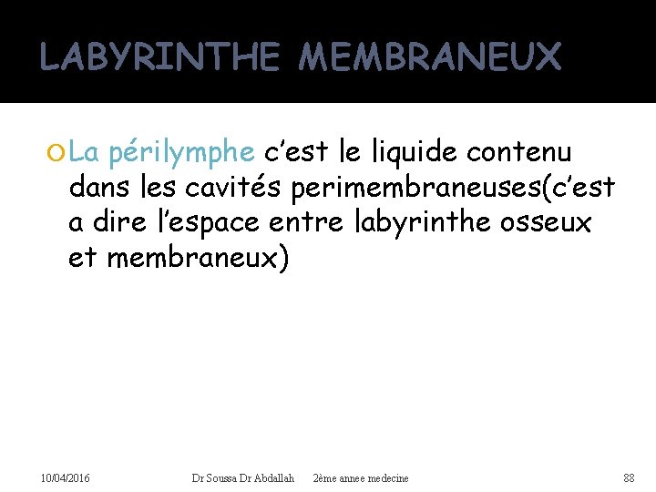 LABYRINTHE MEMBRANEUX La périlymphe c’est le liquide contenu dans les cavités perimembraneuses(c’est a dire