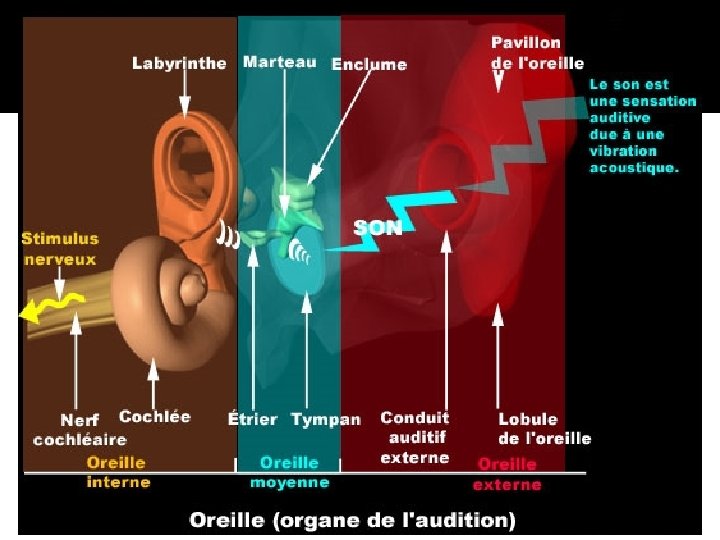 10/04/2016 Dr Soussa Dr Abdallah 2ème annee medecine 93 