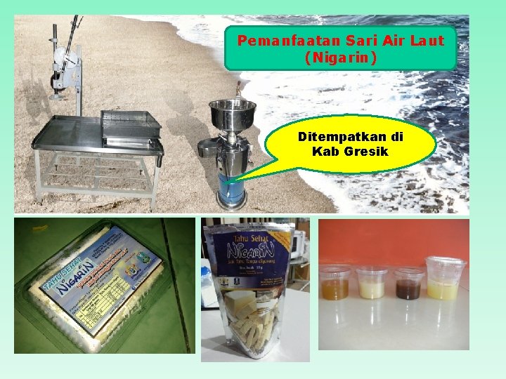 Pemanfaatan Sari Air Laut (Nigarin) Ditempatkan di Kab Gresik 