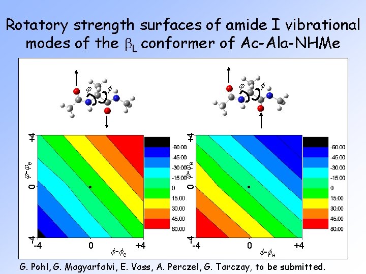 Rotatory strength surfaces of amide I vibrational modes of the b. L conformer of