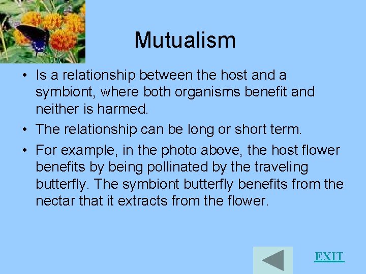 Mutualism • Is a relationship between the host and a symbiont, where both organisms