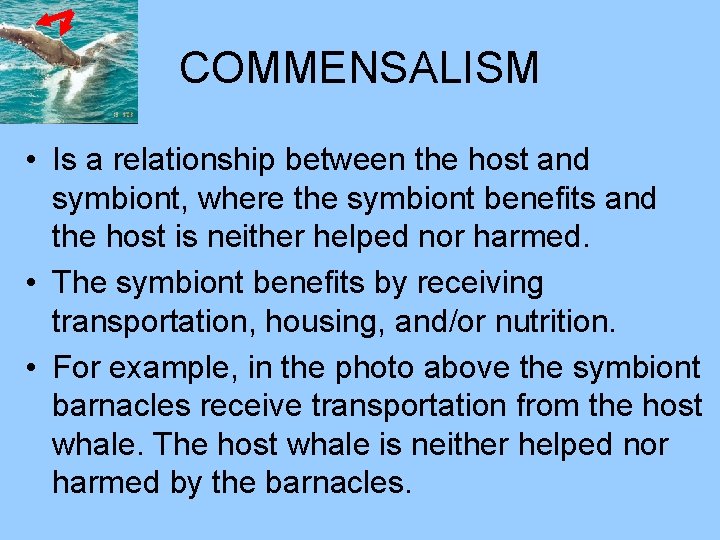 COMMENSALISM • Is a relationship between the host and symbiont, where the symbiont benefits
