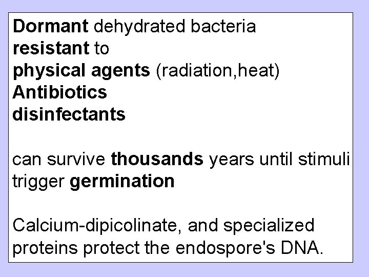 Dormant dehydrated bacteria resistant to physical agents (radiation, heat) Antibiotics disinfectants can survive thousands