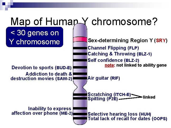 Map of Human Y chromosome? < 30 genes on Y chromosome Devotion to sports