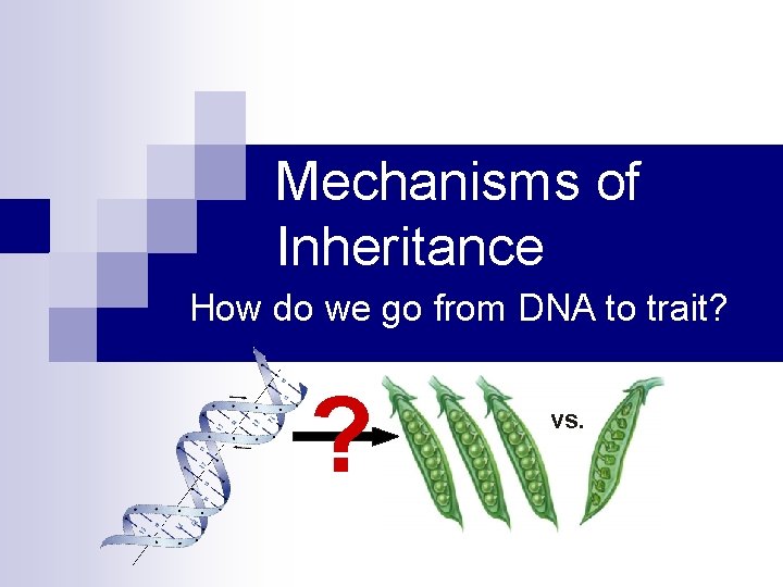 Mechanisms of Inheritance How do we go from DNA to trait? ? vs. 