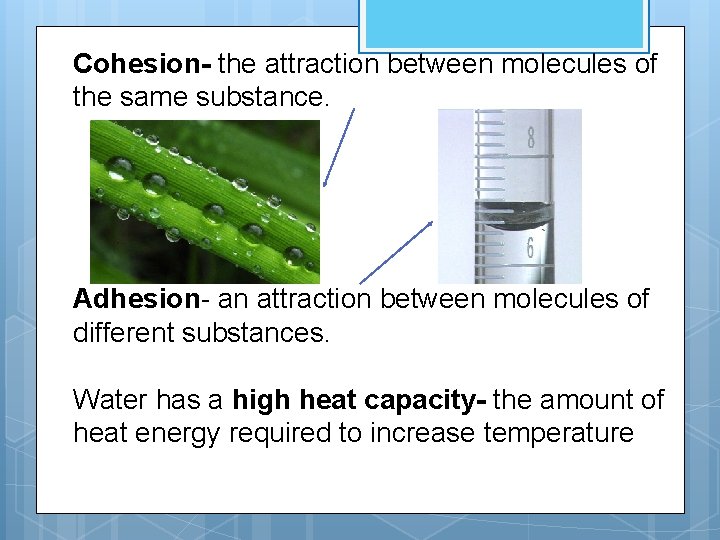 Cohesion- the attraction between molecules of the same substance. Adhesion- an attraction between molecules