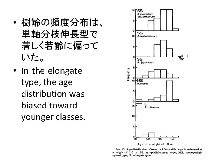  • 樹齢の頻度分布は、 単軸分枝伸長型で 著しく若齢に偏って いた。 • In the elongate type, the age distribution