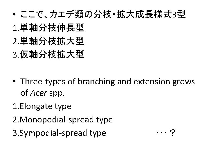  • ここで、カエデ類の分枝・拡大成長様式 3型 1. 単軸分枝伸長型 2. 単軸分枝拡大型 3. 仮軸分枝拡大型 • Three types of