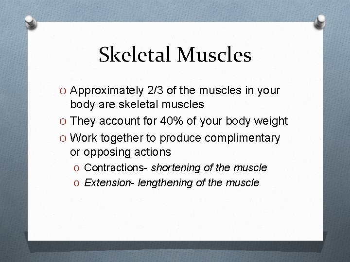 Skeletal Muscles O Approximately 2/3 of the muscles in your body are skeletal muscles