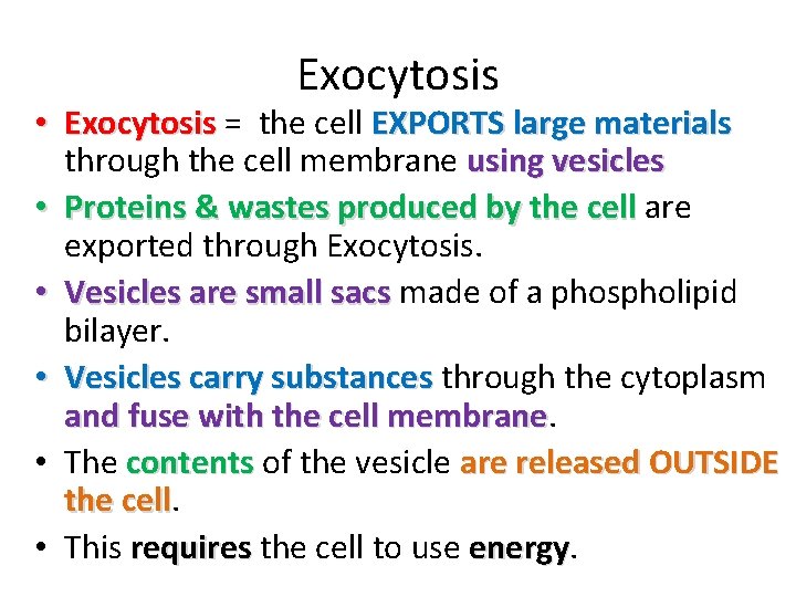 Exocytosis • Exocytosis = the cell EXPORTS large materials through the cell membrane using