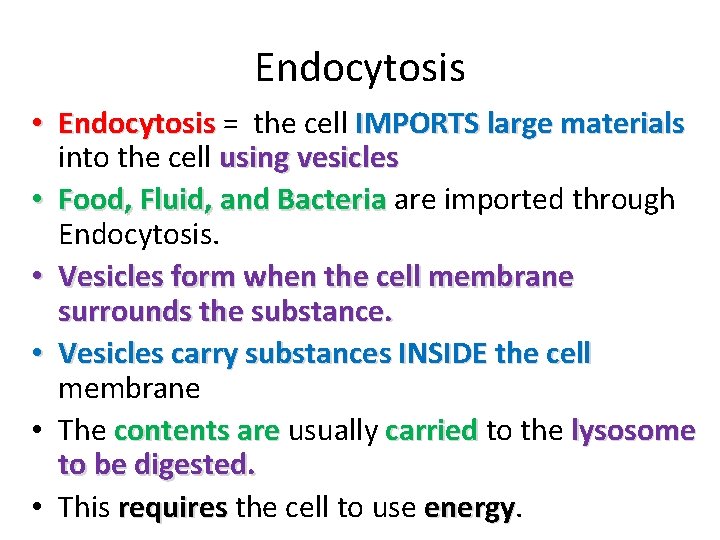 Endocytosis • Endocytosis = the cell IMPORTS large materials into the cell using vesicles