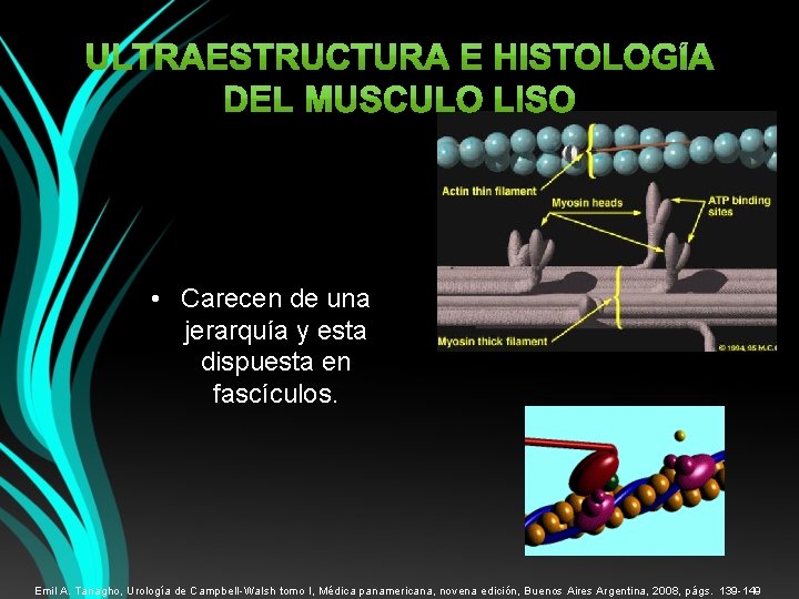  • Carecen de una jerarquía y esta dispuesta en fascículos. Emil A. Tanagho,