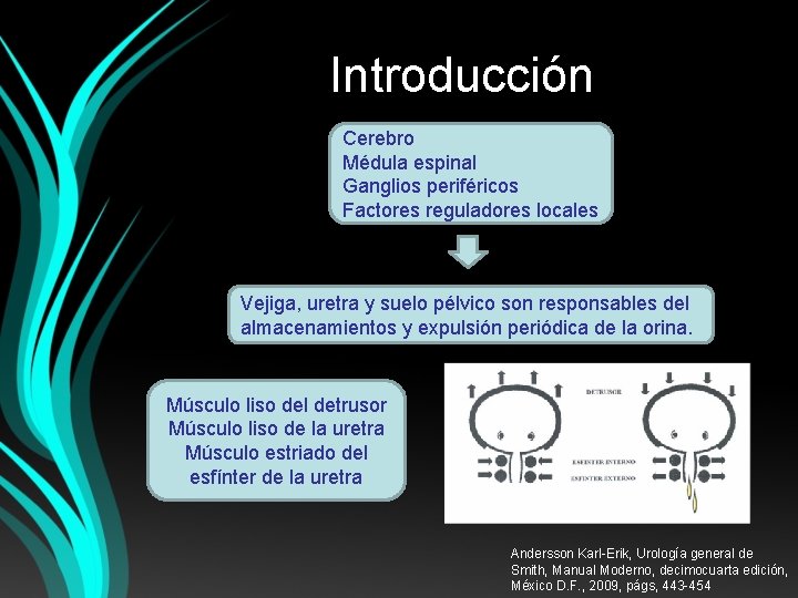 Introducción Cerebro Médula espinal Ganglios periféricos Factores reguladores locales Vejiga, uretra y suelo pélvico