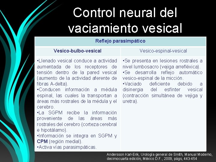 Control neural del vaciamiento vesical Reflejo parasimpático Vesico-bulbo-vesical Vesico-espinal-vesical • Llenado vesical conduce a