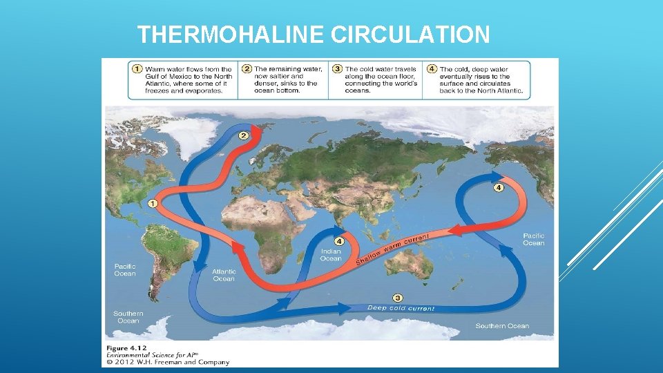 THERMOHALINE CIRCULATION 
