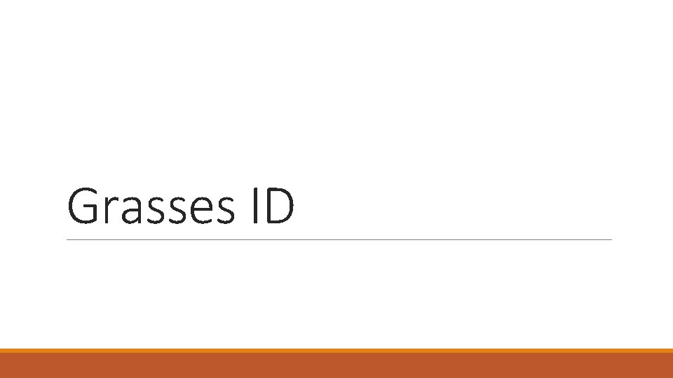 Grasses ID 