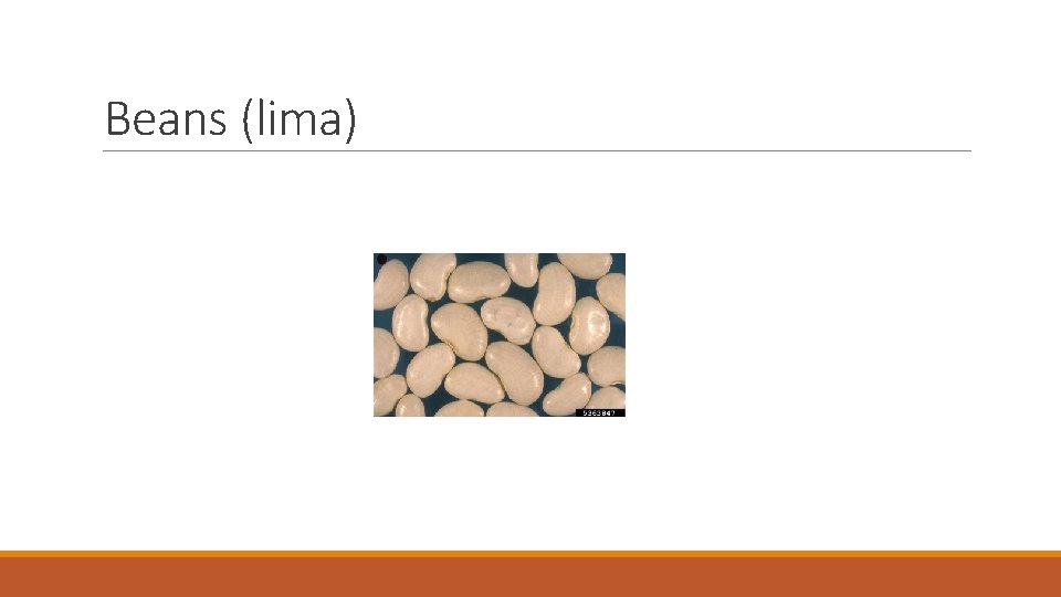 Beans (lima) 