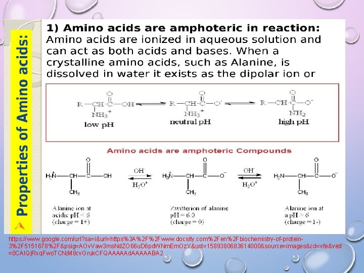 https: //www. google. com/url? sa=i&url=https%3 A%2 F%2 Fwww. docsity. com%2 Fen%2 Fbiochemistry-of-protein 3%2 F