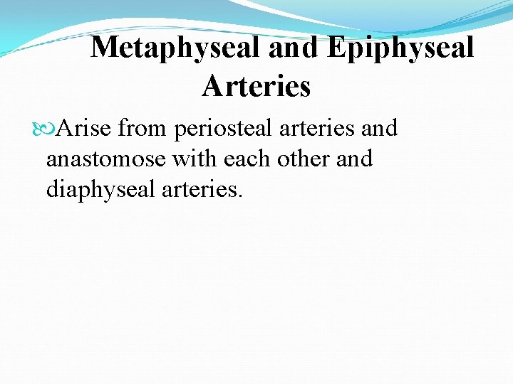 Metaphyseal and Epiphyseal Arteries Arise from periosteal arteries and anastomose with each other and