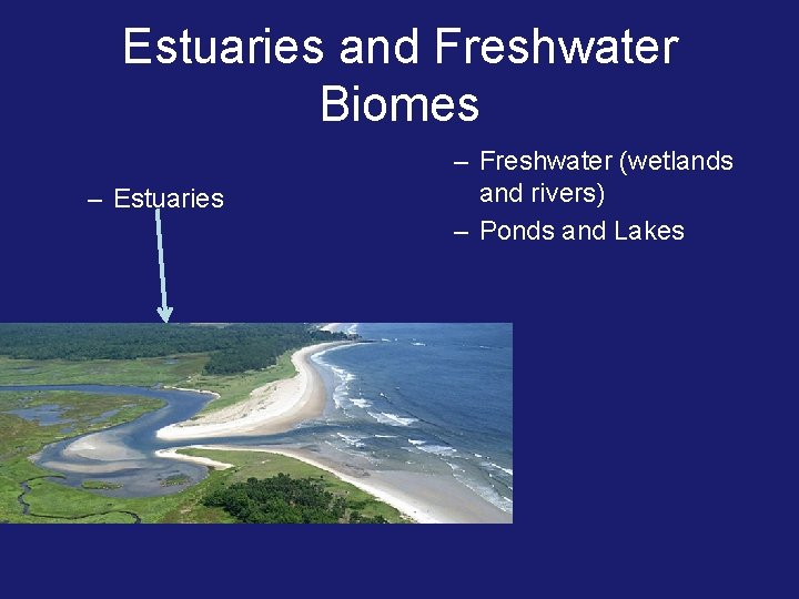 Estuaries and Freshwater Biomes – Estuaries – Freshwater (wetlands and rivers) – Ponds and