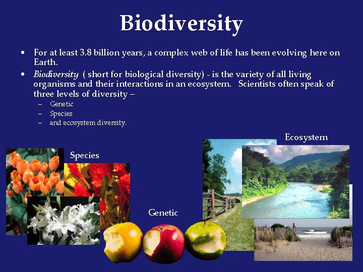 Biodiversity • For at least 3. 8 billion years, a complex web of life