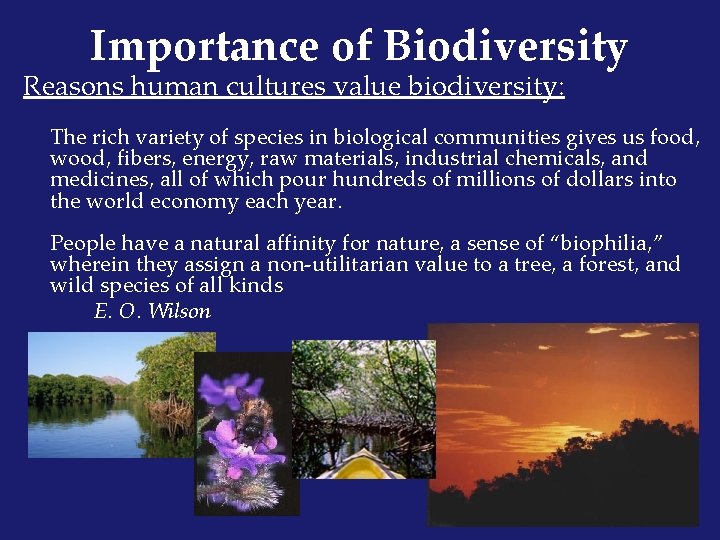 Importance of Biodiversity Reasons human cultures value biodiversity: The rich variety of species in