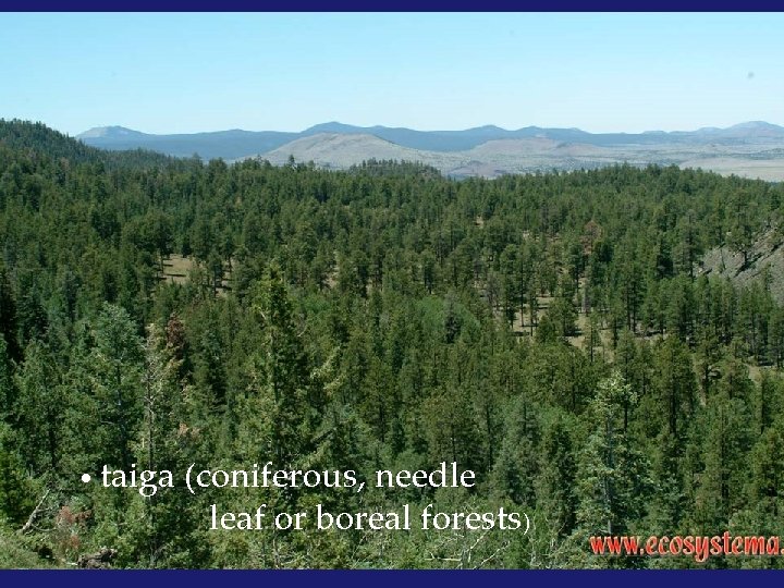  • taiga (coniferous, needle leaf or boreal forests) 