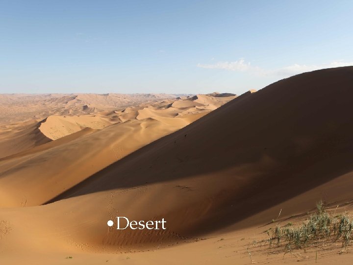  • Desert 
