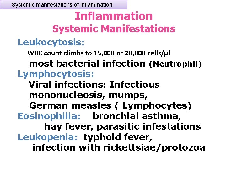 Systemic manifestations of inflammation Inflammation Systemic Manifestations Leukocytosis: WBC count climbs to 15, 000