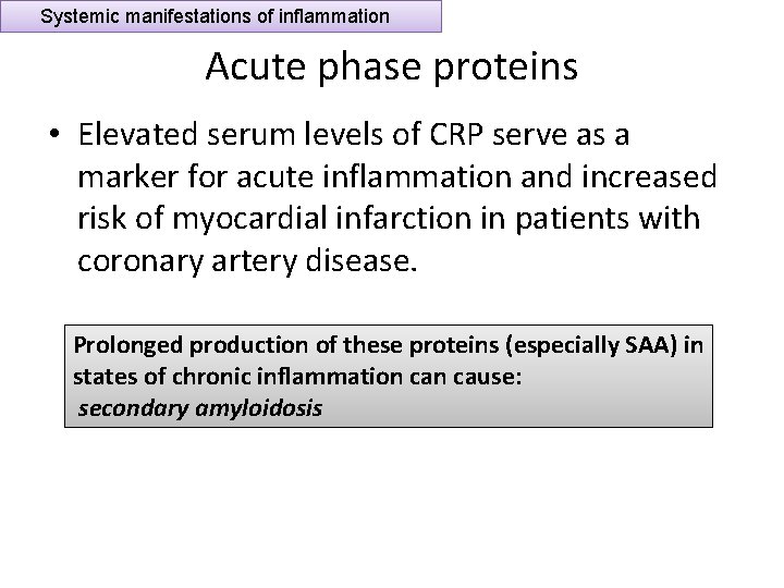 Systemic manifestations of inflammation Acute phase proteins • Elevated serum levels of CRP serve