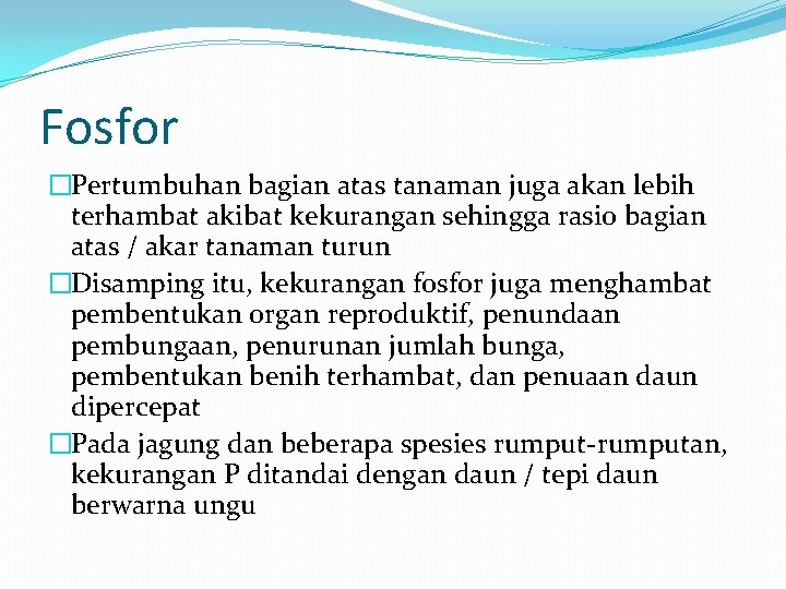 Fosfor �Pertumbuhan bagian atas tanaman juga akan lebih terhambat akibat kekurangan sehingga rasio bagian