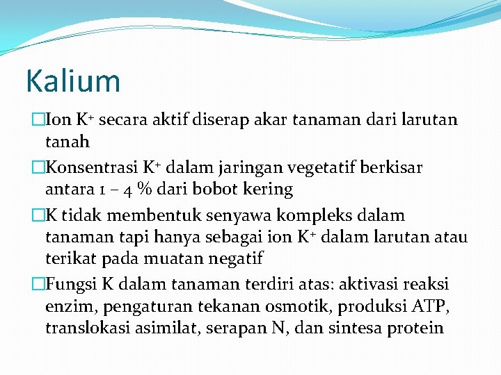 Kalium �Ion K+ secara aktif diserap akar tanaman dari larutan tanah �Konsentrasi K+ dalam