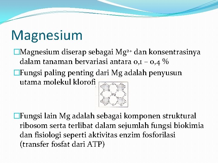 Magnesium �Magnesium diserap sebagai Mg 2+ dan konsentrasinya dalam tanaman bervariasi antara 0, 1