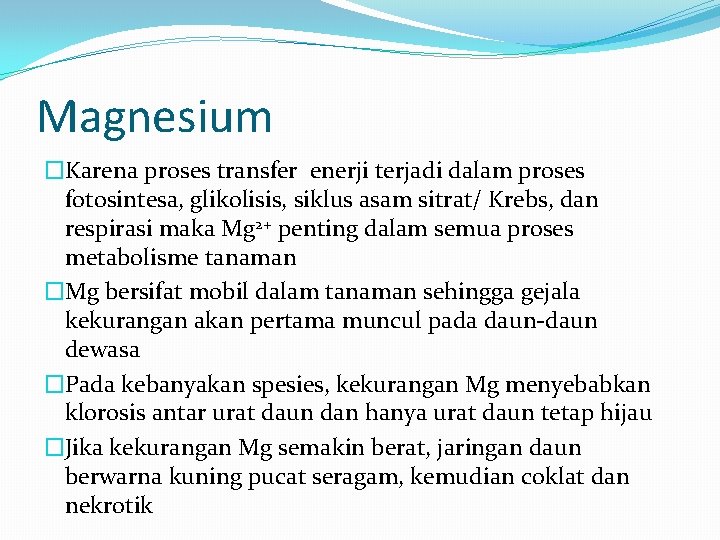 Magnesium �Karena proses transfer enerji terjadi dalam proses fotosintesa, glikolisis, siklus asam sitrat/ Krebs,