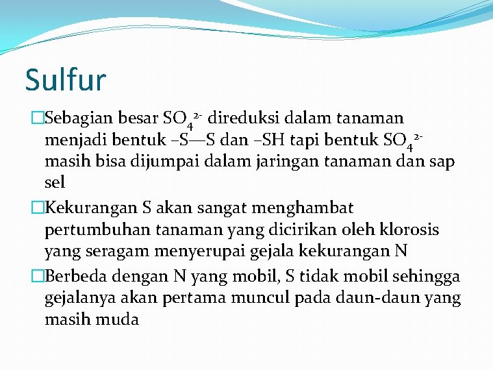 Sulfur �Sebagian besar SO 42 - direduksi dalam tanaman menjadi bentuk –S—S dan –SH