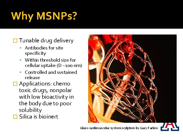 Why MSNPs? � Tunable drug delivery Antibodies for site specificity Within threshold size for