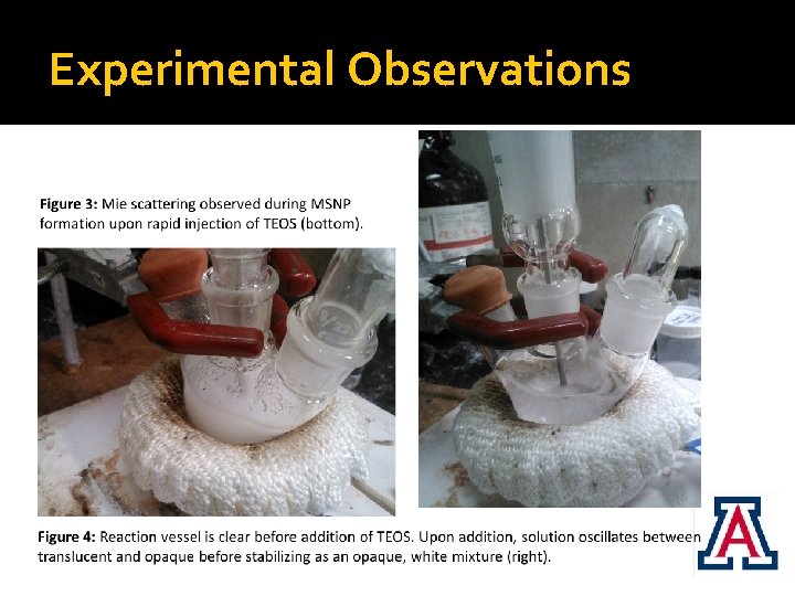 Experimental Observations 