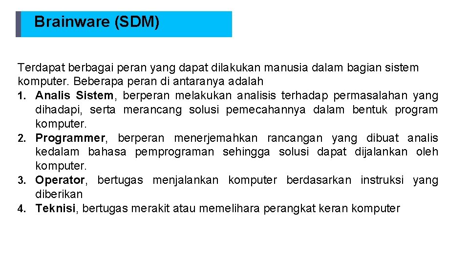 Brainware (SDM) Terdapat berbagai peran yang dapat dilakukan manusia dalam bagian sistem komputer. Beberapa