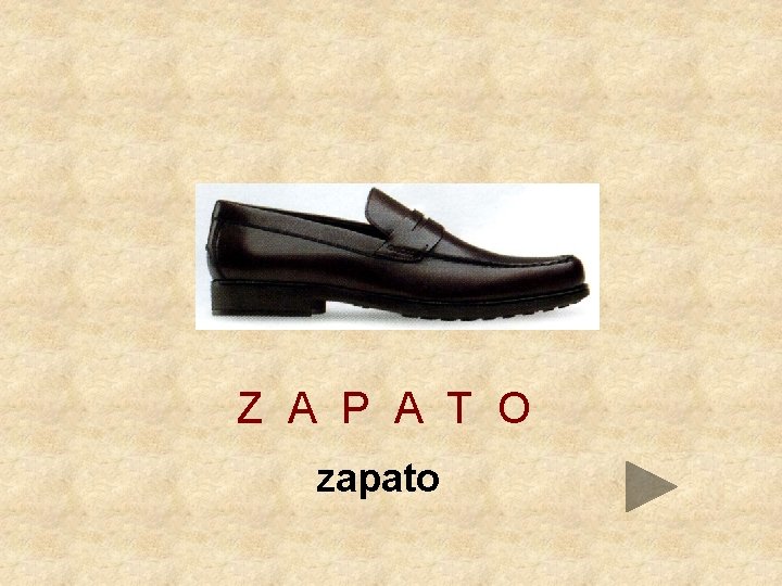 Z A P A T O zapato 