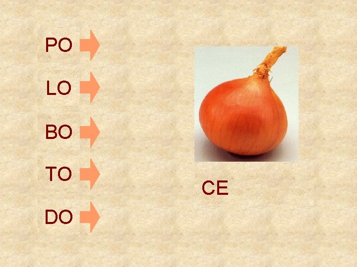 PO LO BO TO DO CE 