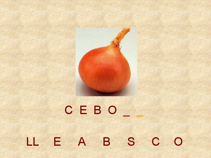 C E B O _ _ LL E A B S C O 