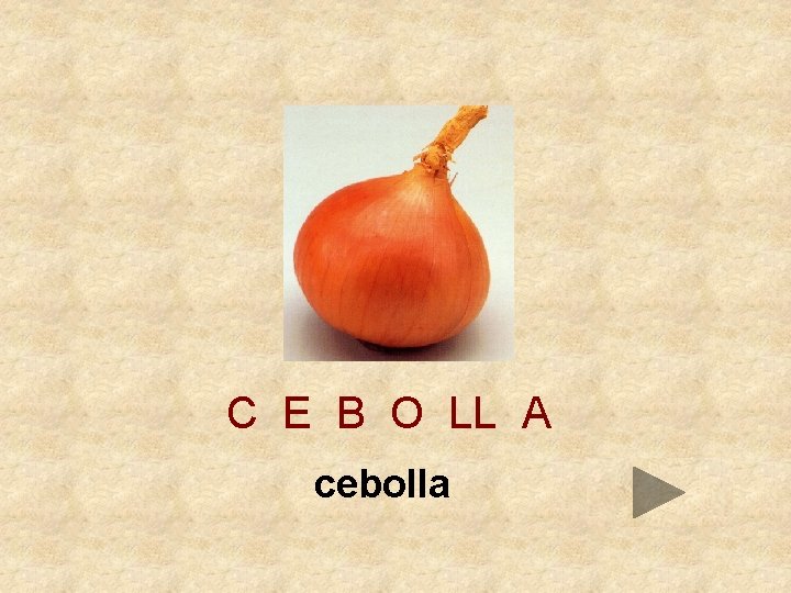 C E B O LL A cebolla 