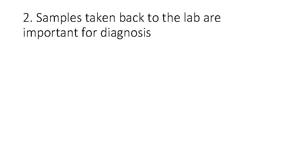 2. Samples taken back to the lab are important for diagnosis 