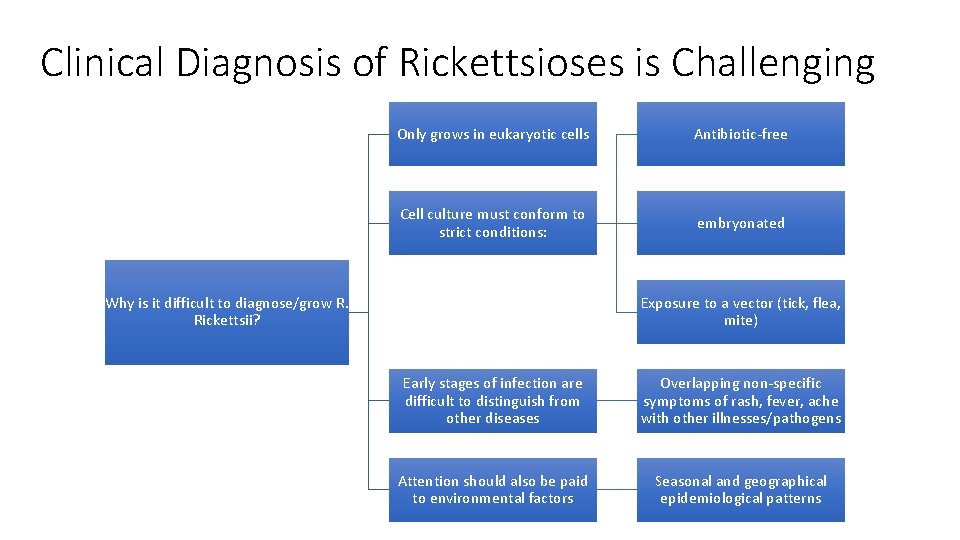 Clinical Diagnosis of Rickettsioses is Challenging Only grows in eukaryotic cells Antibiotic-free Cell culture