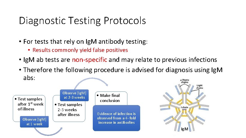 Diagnostic Testing Protocols • For tests that rely on Ig. M antibody testing: •