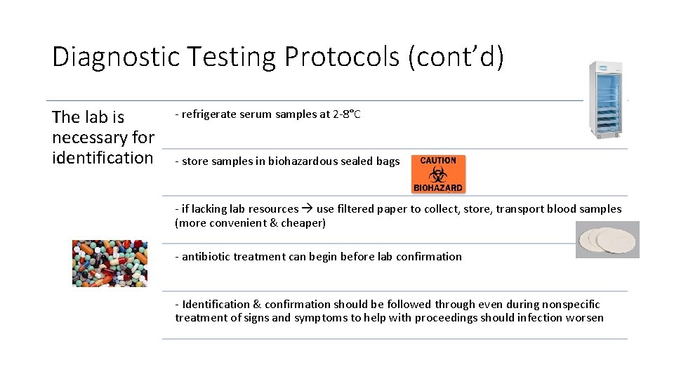 Diagnostic Testing Protocols (cont’d) The lab is necessary for identification - refrigerate serum samples