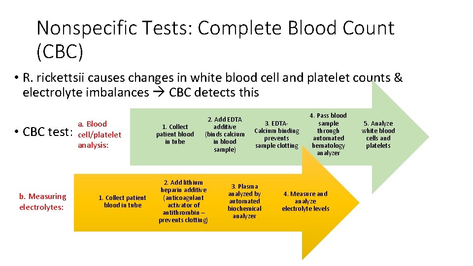 Nonspecific Tests: Complete Blood Count (CBC) • R. rickettsii causes changes in white blood