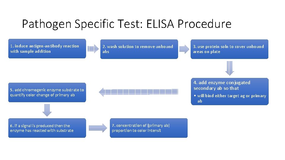 Pathogen Specific Test: ELISA Procedure 1. induce antigen-antibody reaction with sample addition 2. wash