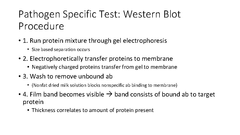 Pathogen Specific Test: Western Blot Procedure • 1. Run protein mixture through gel electrophoresis