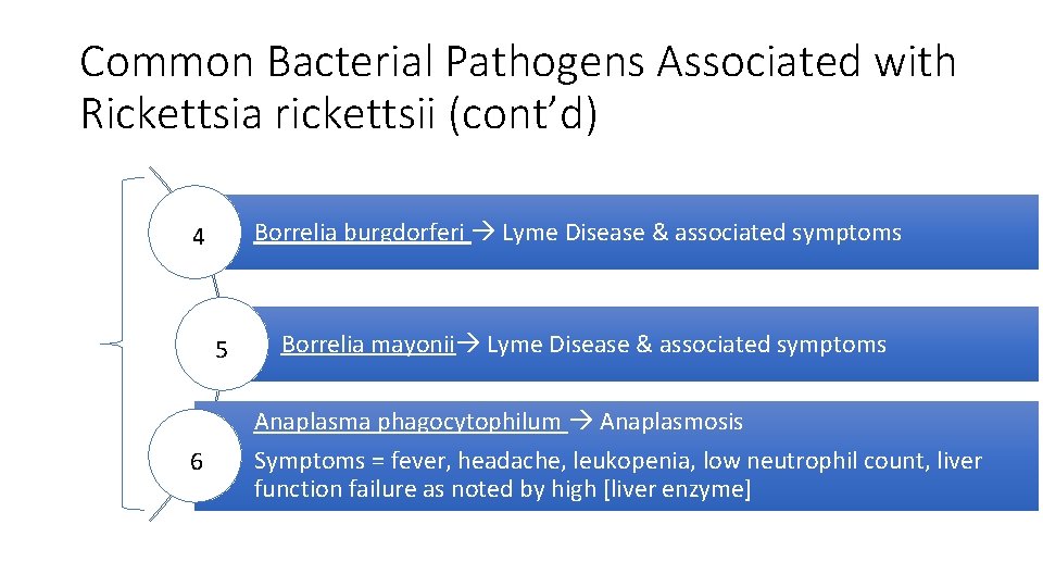 Common Bacterial Pathogens Associated with Rickettsia rickettsii (cont’d) Borrelia burgdorferi Lyme Disease & associated